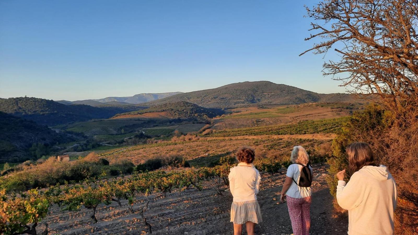 La Barbacane De Cascastel-Des-Corbieres ภายนอก รูปภาพ